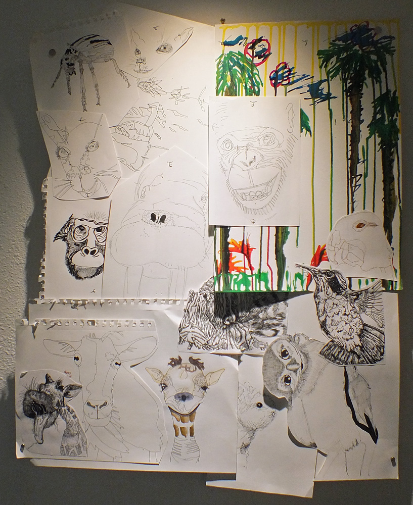 Collage of sketches by Mel Anderson