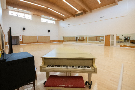 Large wood floor room with a grand piano.