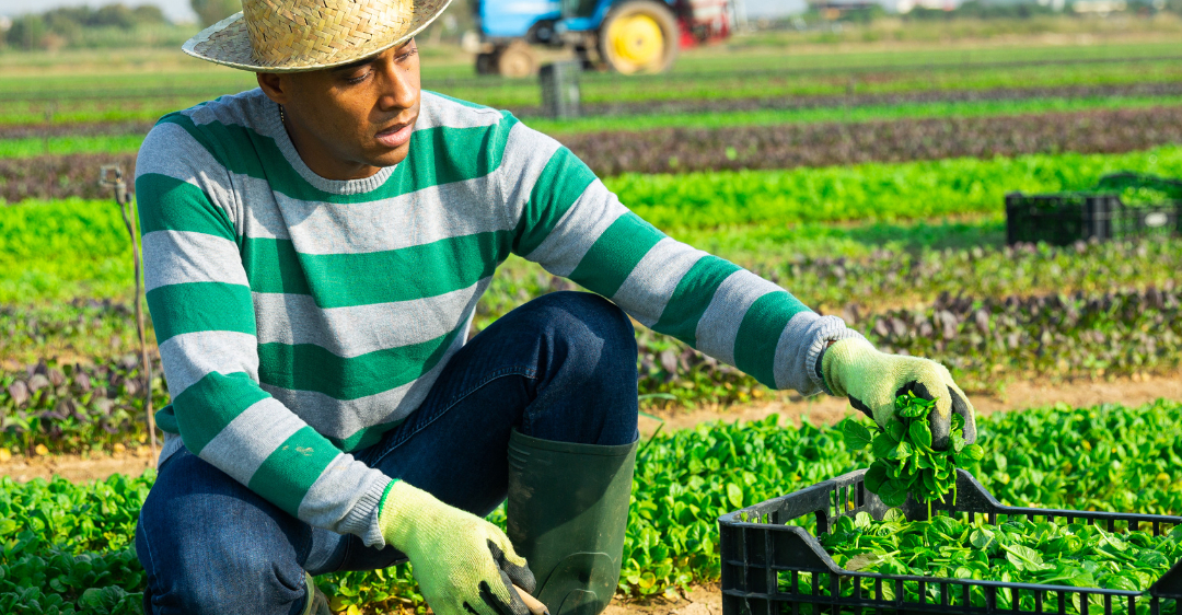 Man working in a field