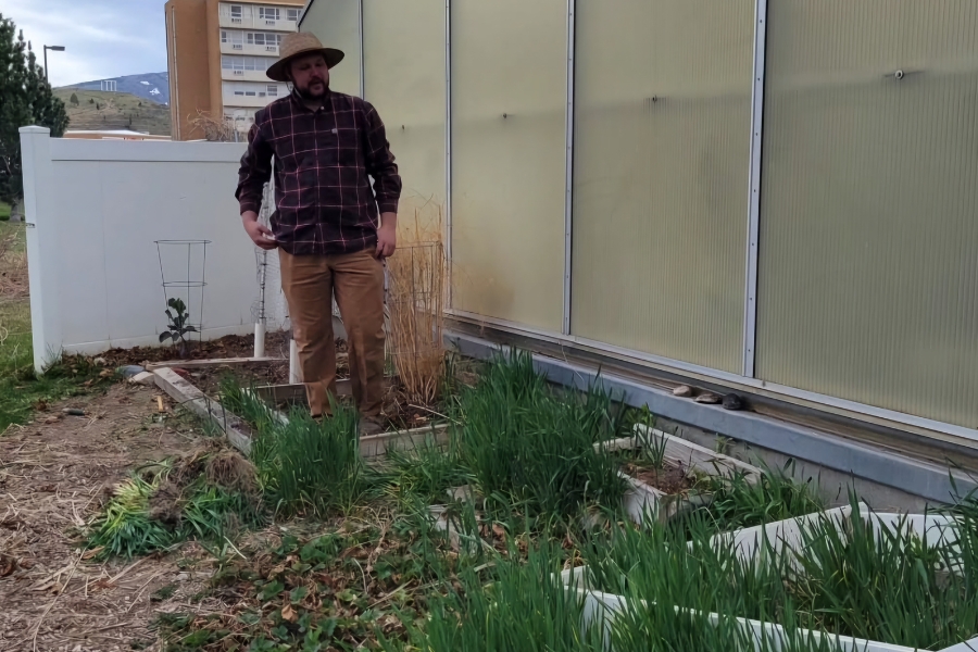 A man in the garden volunteering