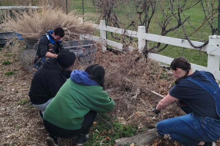 A group of students volunteering in a garden