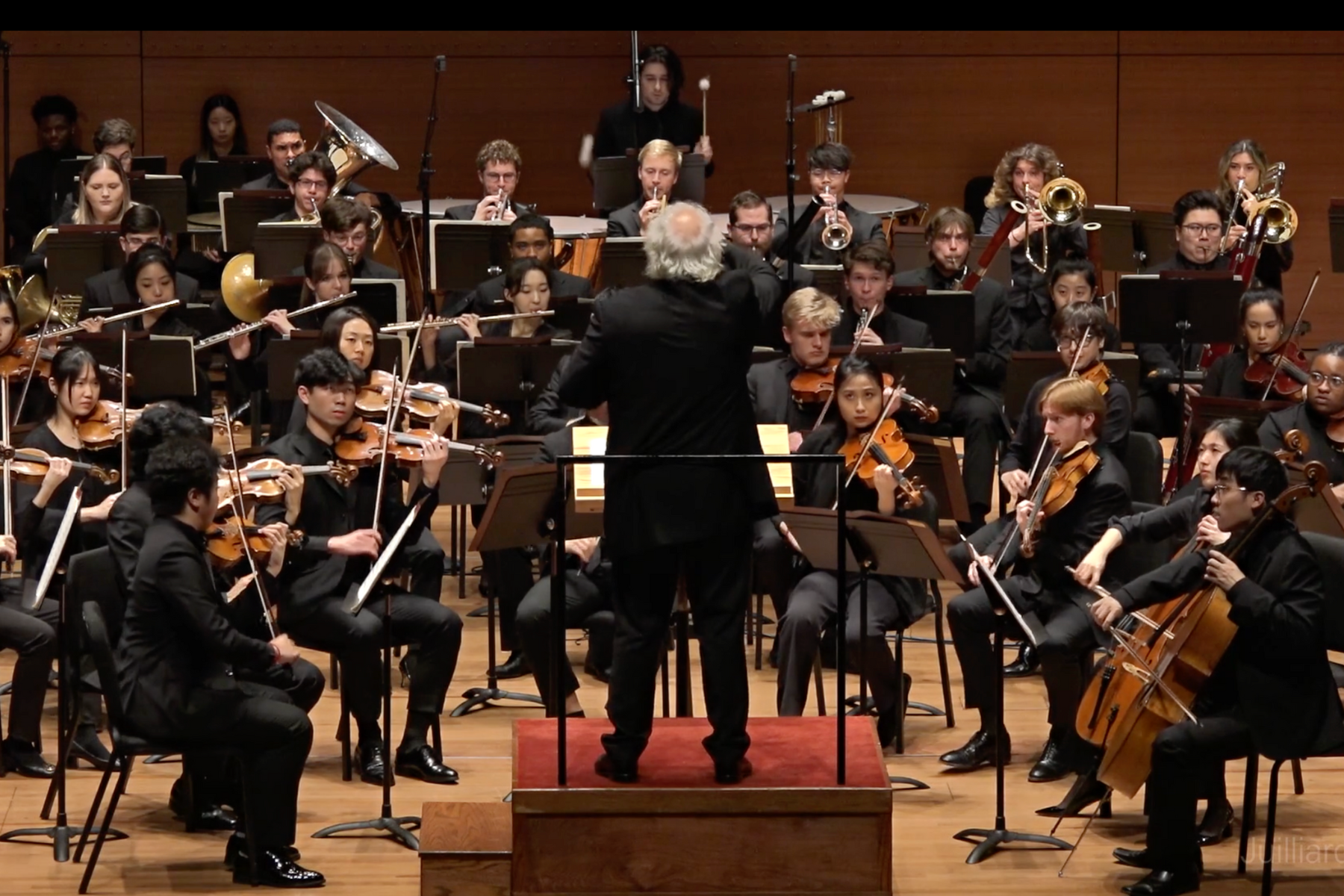 An orchestra on-stage playing their instruments with the backside of the conductor as he lifts his arms to conduct