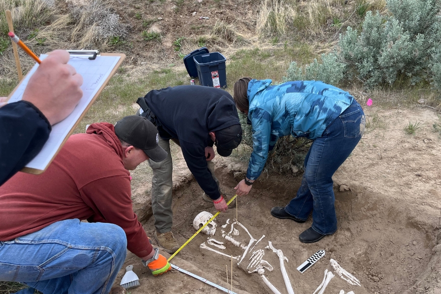 3 people measuring a skeleton in the ground with a tape measurer