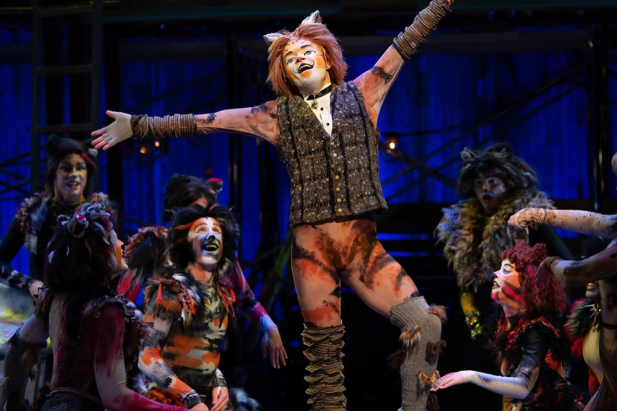 Nathan performs on stage in cats costuume: he is orange striped cat with a vest and leg warmers. Other cats characters kneel around him