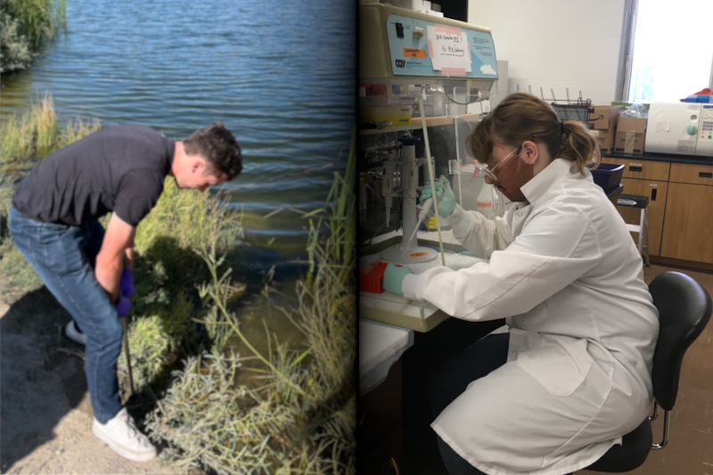 VIP: Molecular Microbiology