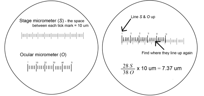 Calibration with micrometer 2