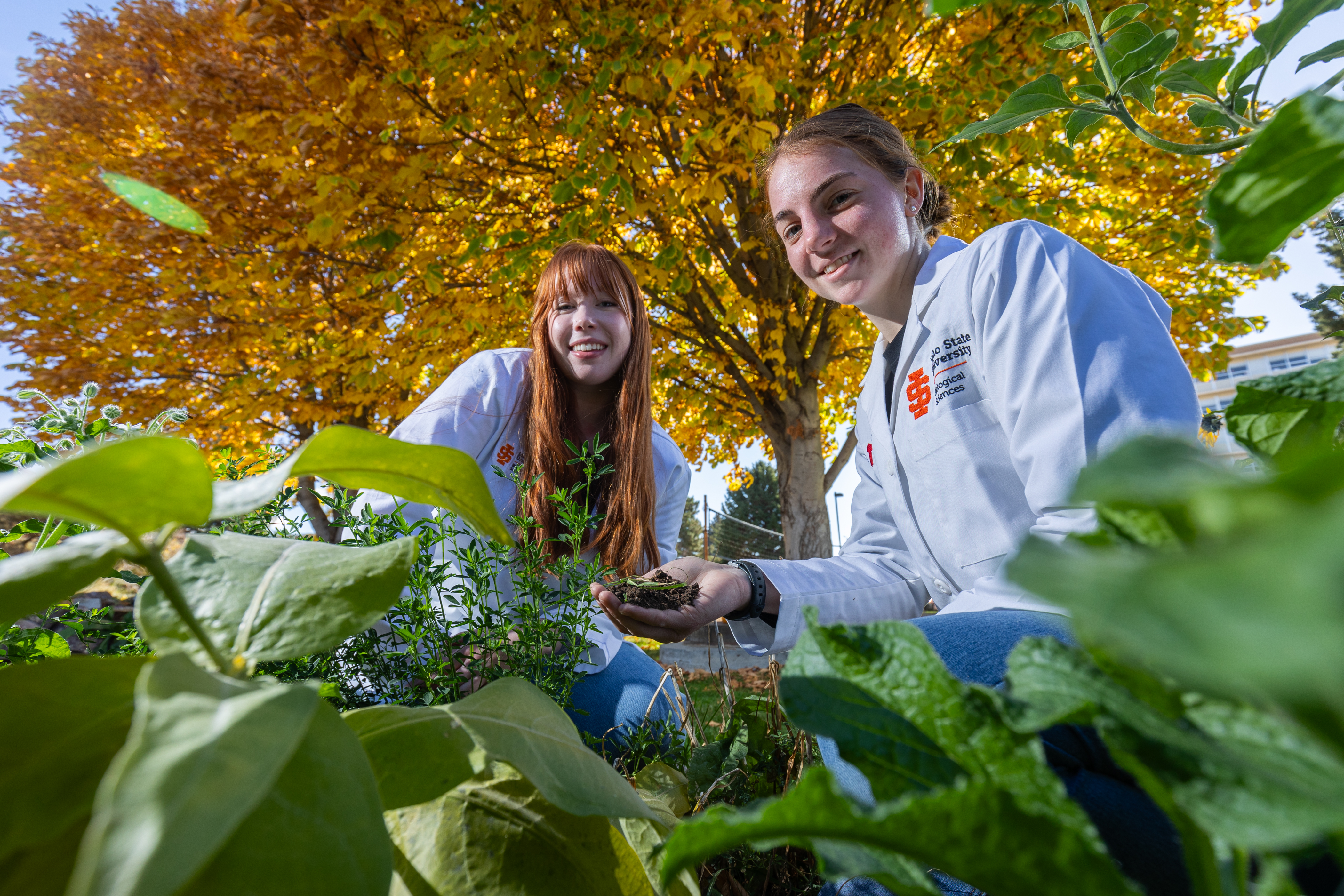 Two ISU students collecting soil samples