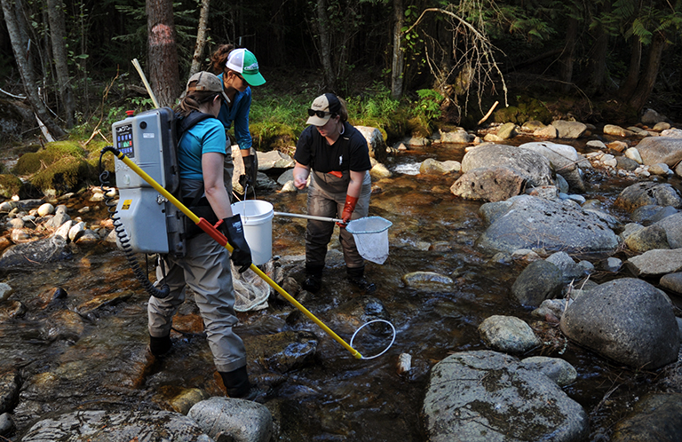 09-03-16 Students from the American Fisheries Society participate in a fish survey.