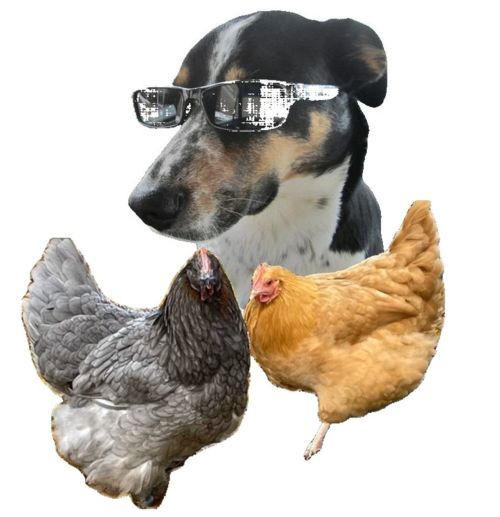 Robin Nelson, Administrative Assistant II