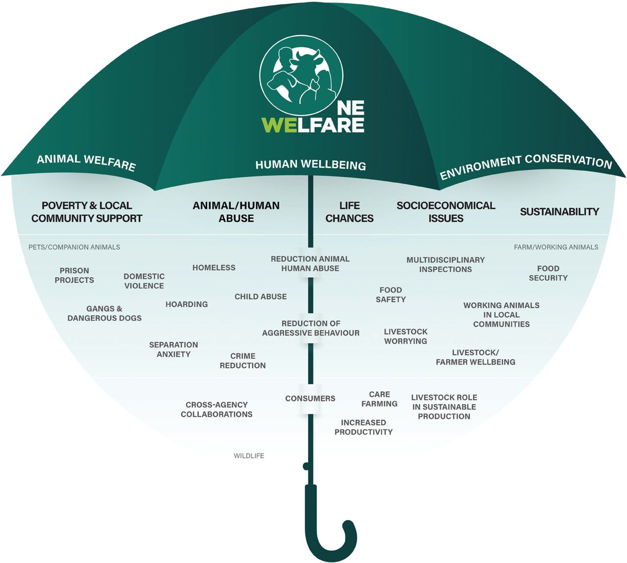 Umbrella inforgraphic which contains the foundations of the one-welfare model, including human wellbeing and animal well-being.