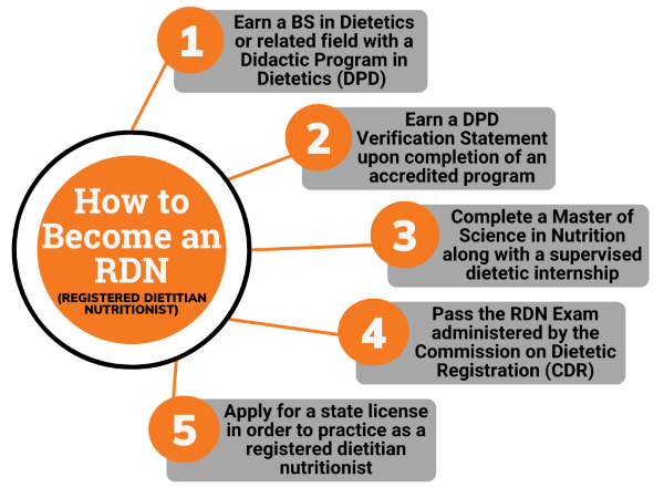 Flow chart on how to become a registered dietitian