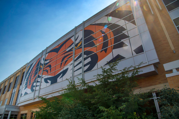 Idaho State Rendezvous Building with vinyl bengal wrapping