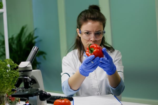 female biologist studying tomato under the miscroscope
