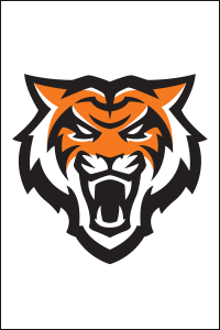 Bengal Icon Headshot