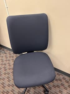 Lumbar Support 225 x 300