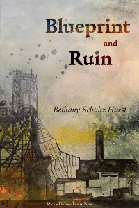 Book Cover of Blueprint and Ruin by Hurst