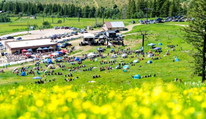 Wildflower Festival
