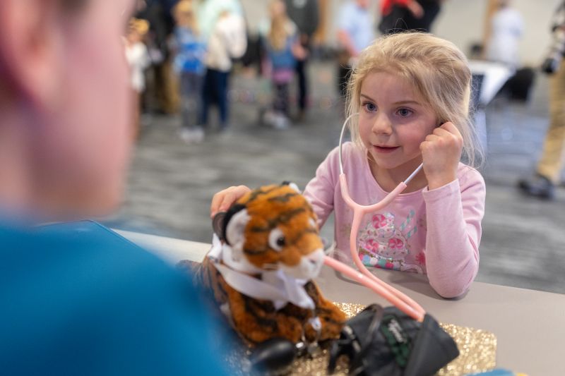 Little girl giving a teddy Bengal a check up with a stethescope.