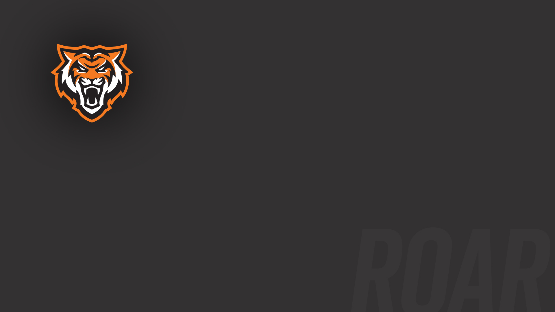 Bengal head/black background for Zoom