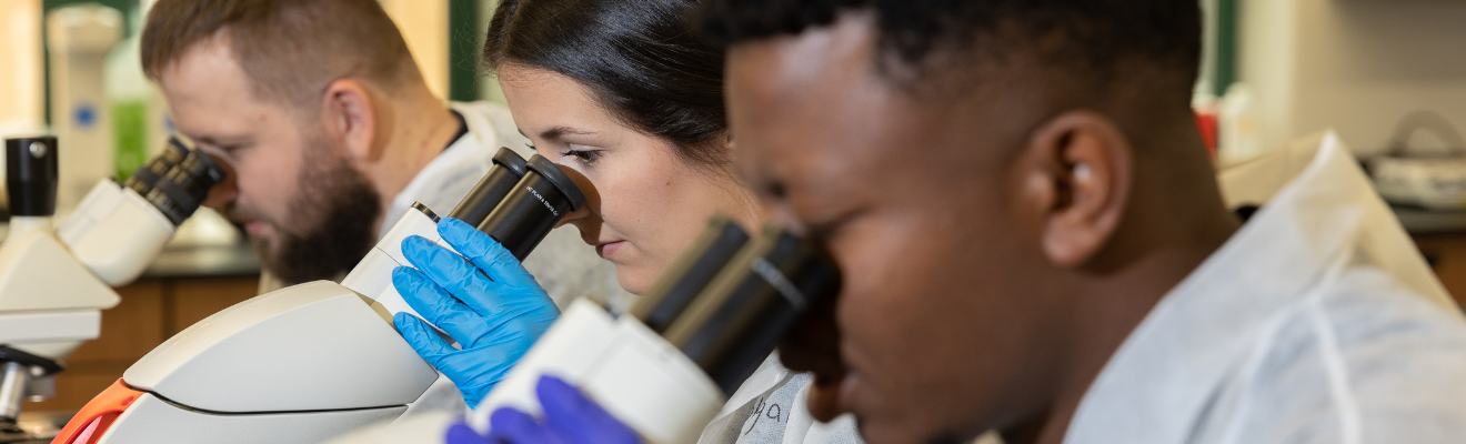 Three students looking intently into microscopes