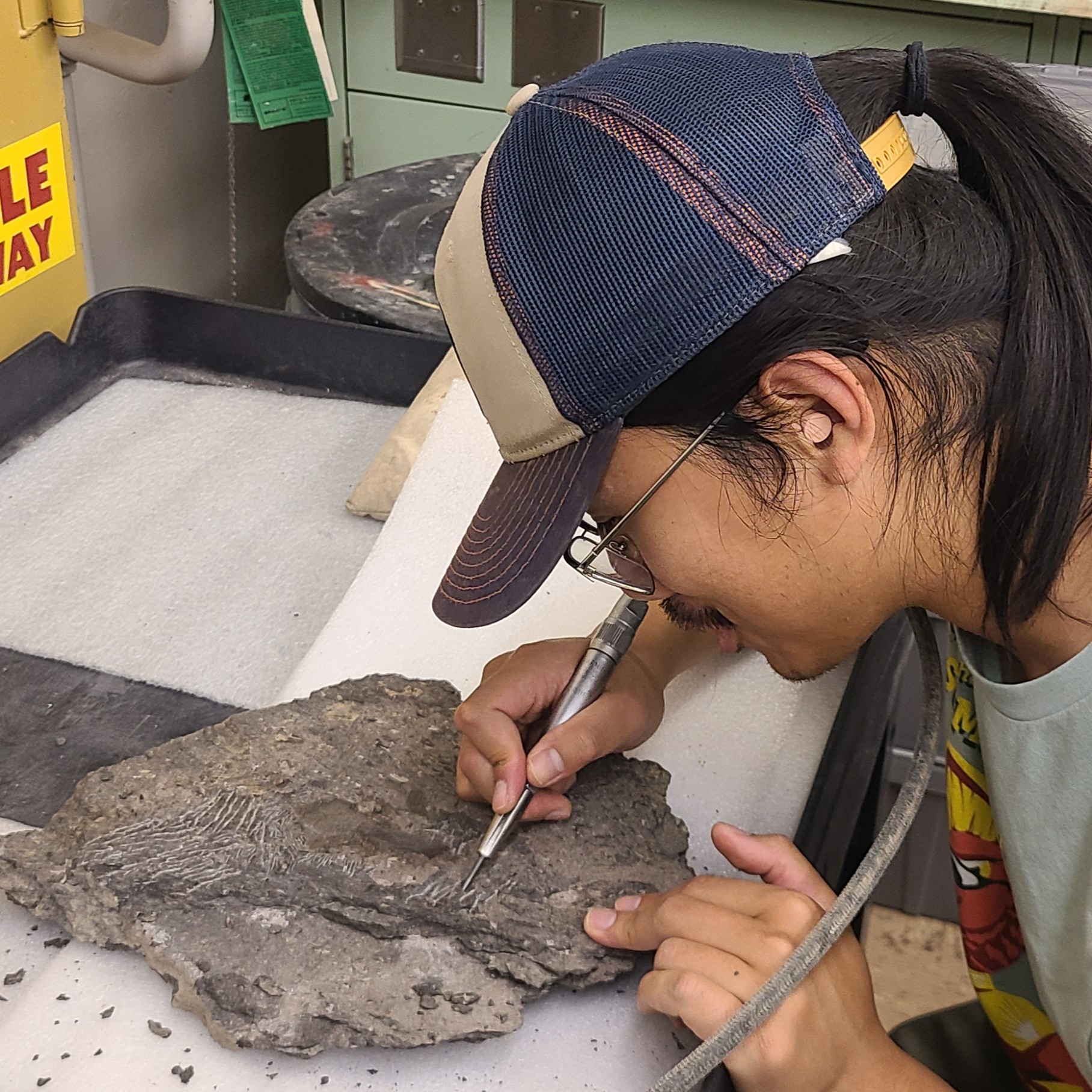 A man using air tools to prepare a fossil in rock matrix for archiving in a museum