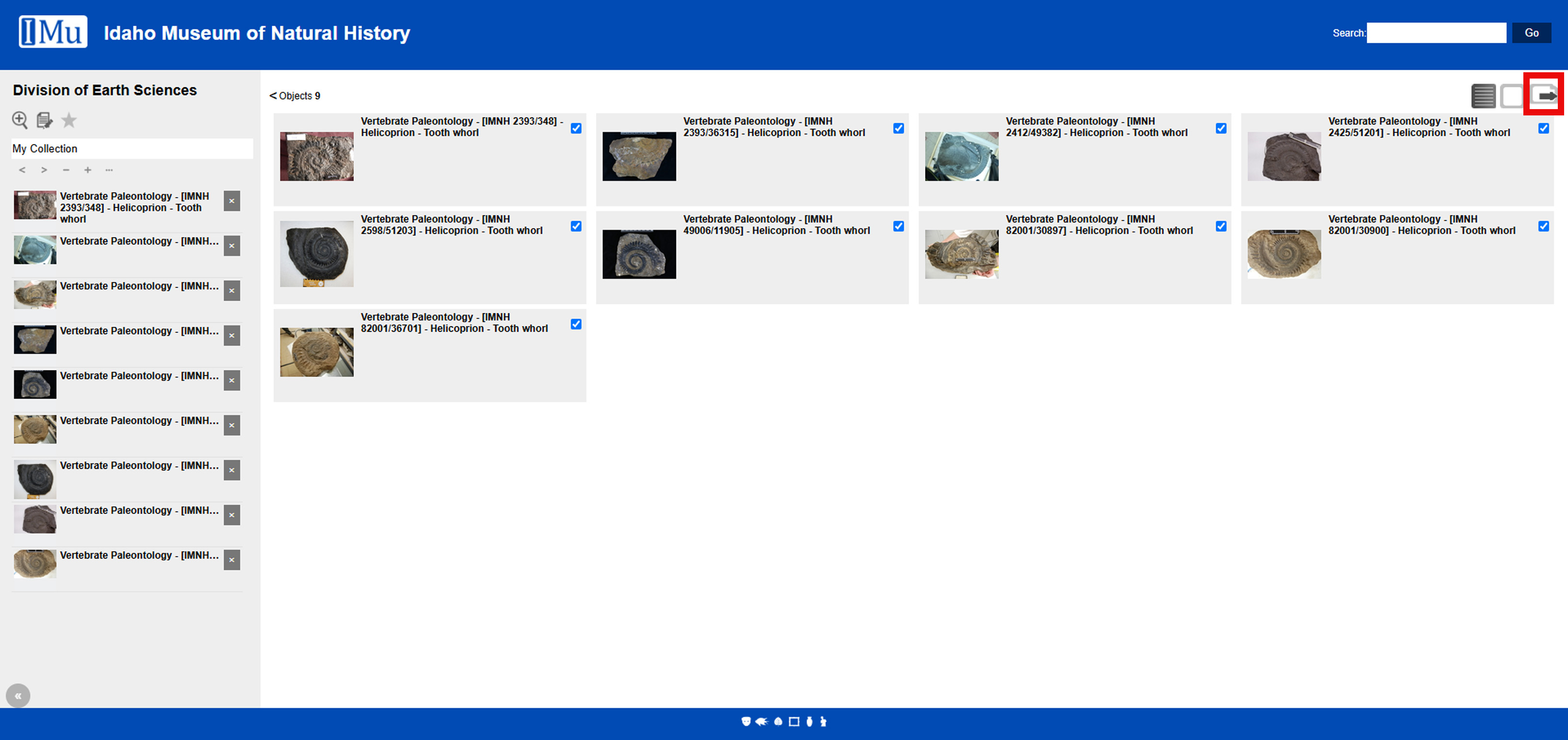 Screenshot of IMu Export