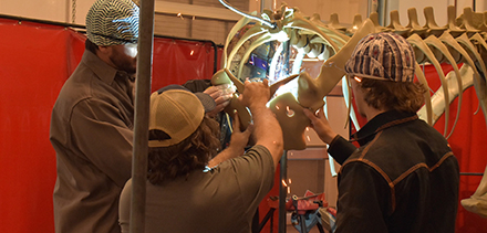 Museum and College of Technology working on Gigantoraptor