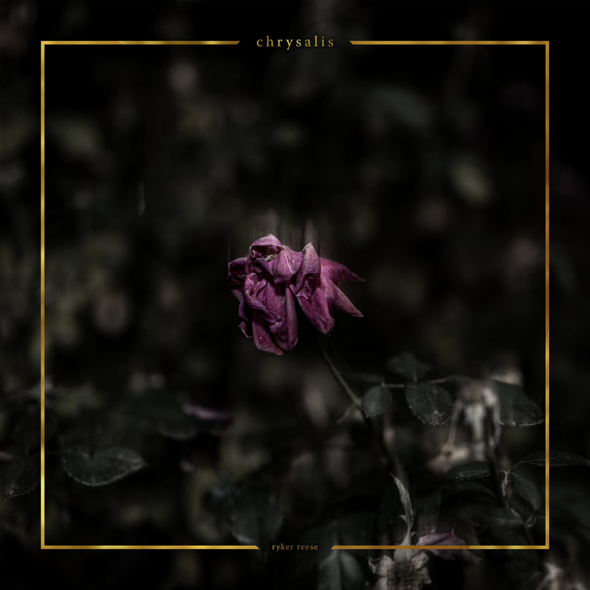 album cover for city creek records release, 