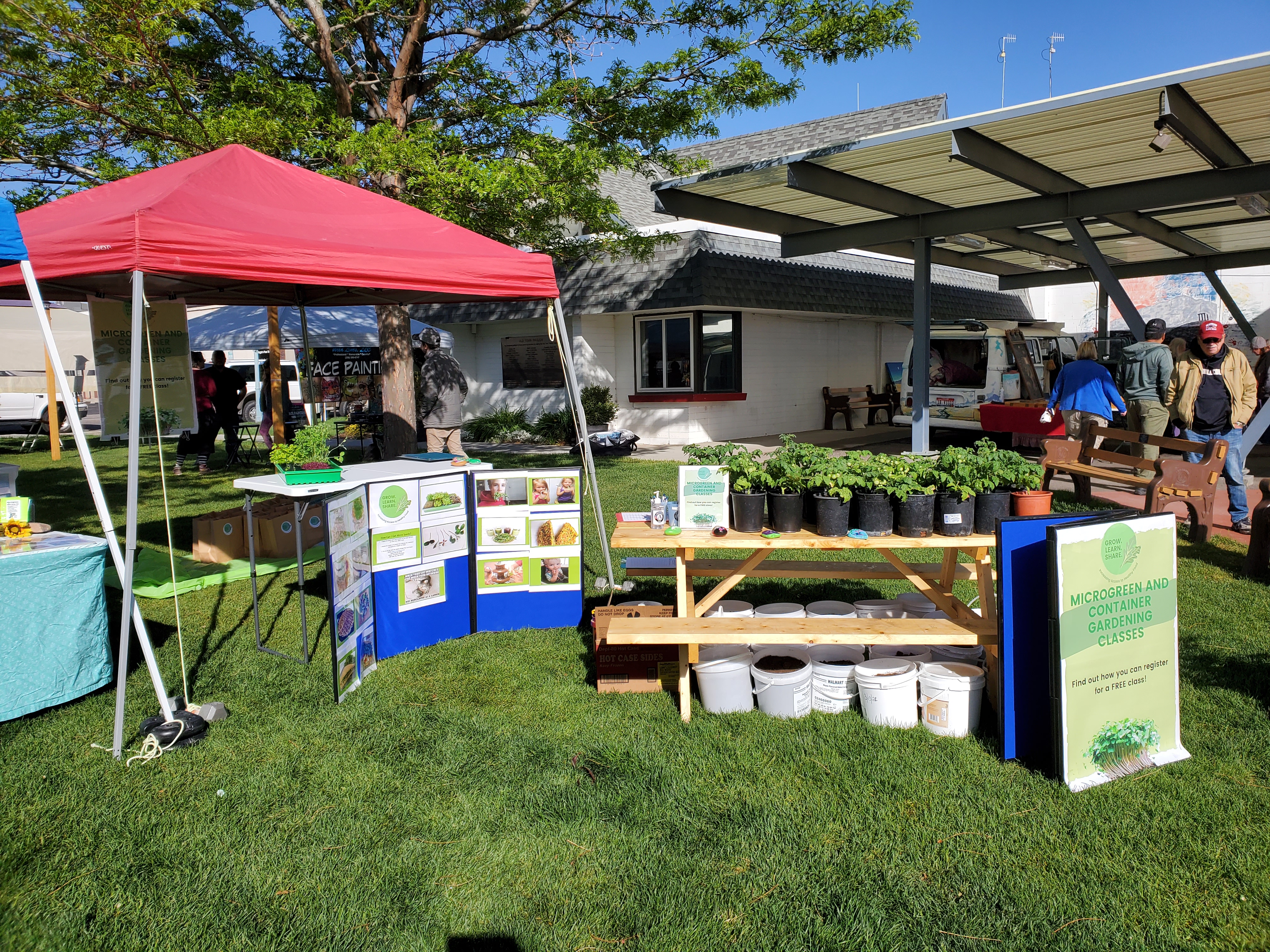The gardening of Tiny Tims (In a bucket from a retail store).jpg