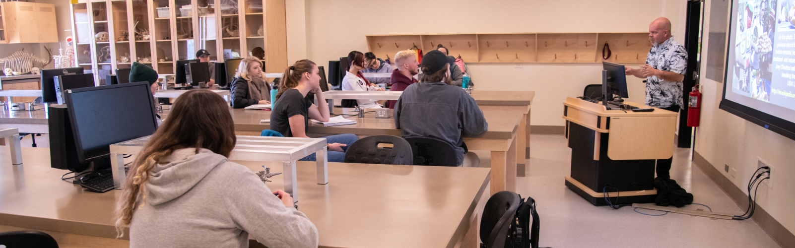 Honors Curriculum and Courses