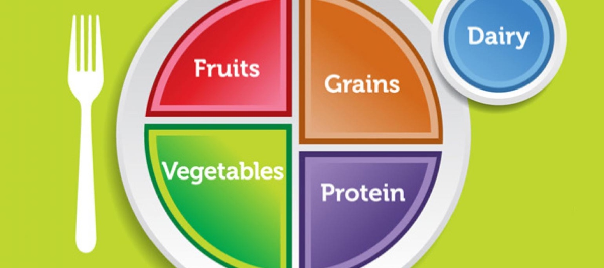 My plate meal guidelines
