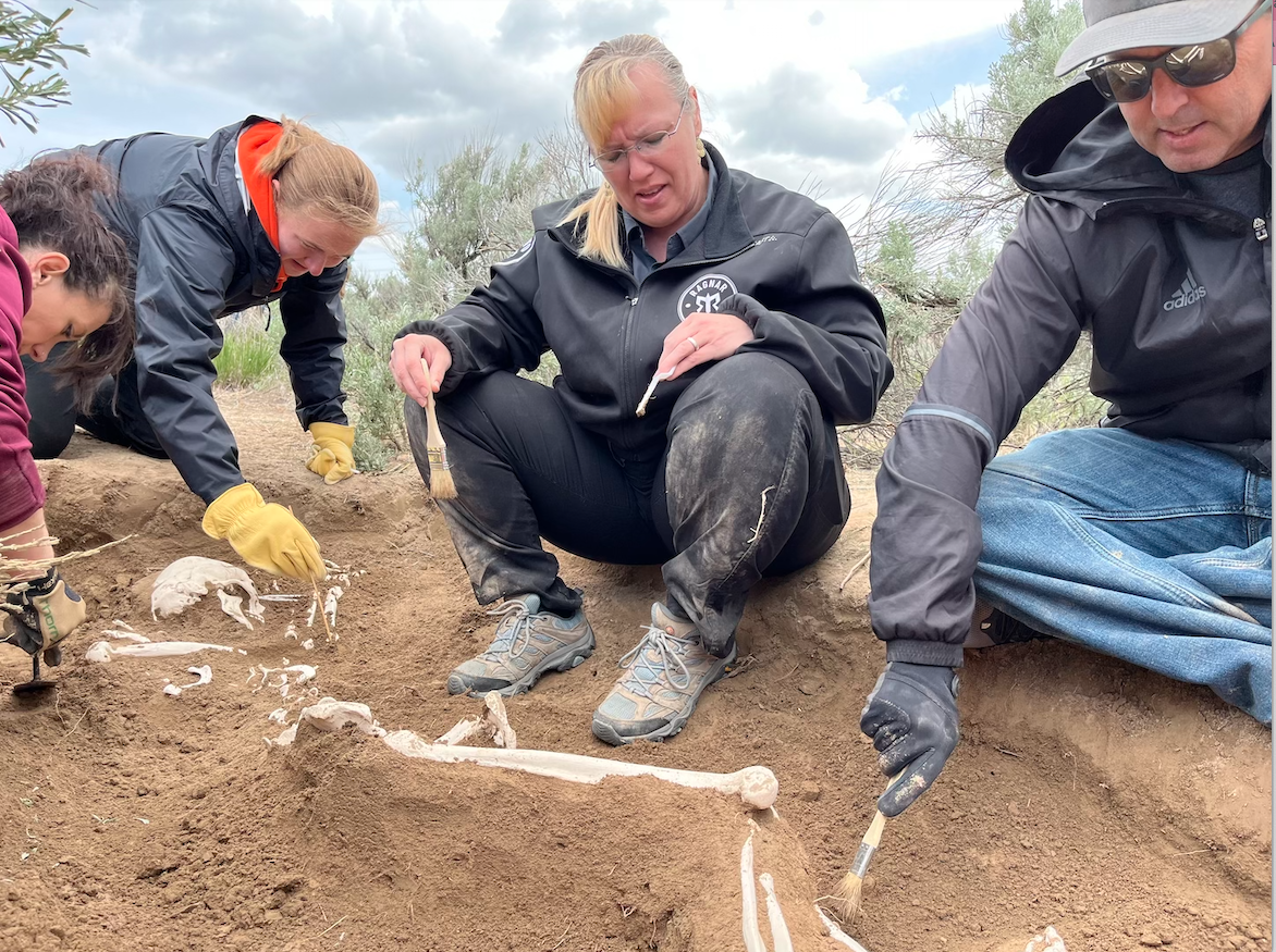 Students sift dirt at mock burial site