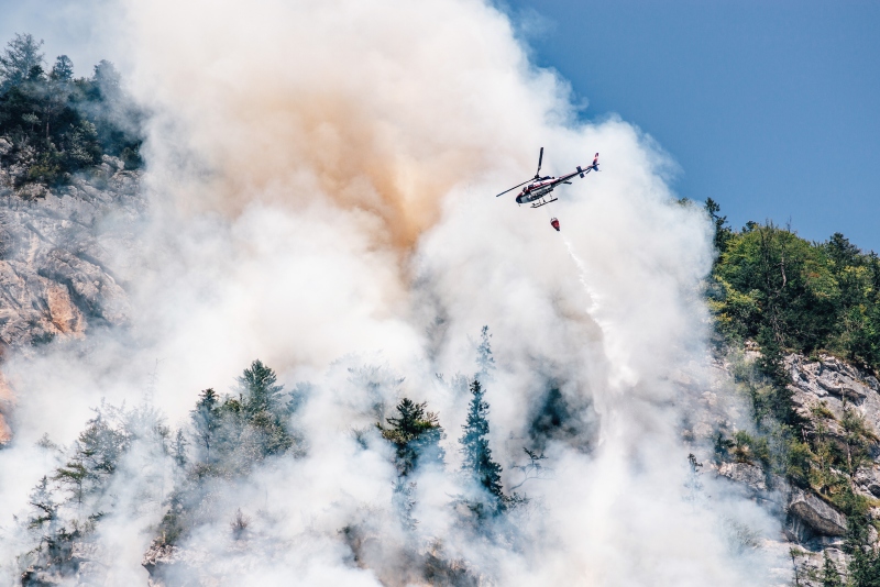Helicopter dropping flame retardant in a forest